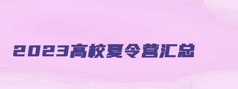 2023高校夏令营汇总