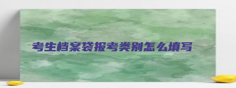 考生档案袋报考类别怎么填写