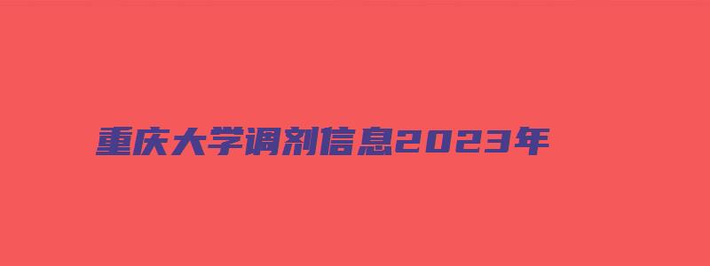 重庆大学调剂信息2023年