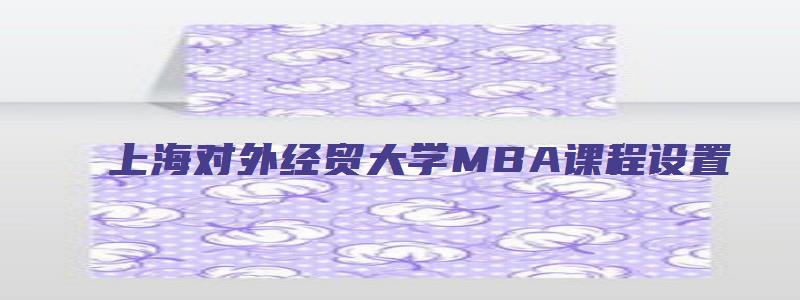 上海对外经贸大学MBA课程设置