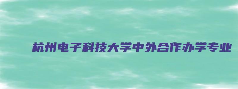 杭州电子科技大学中外合作办学专业