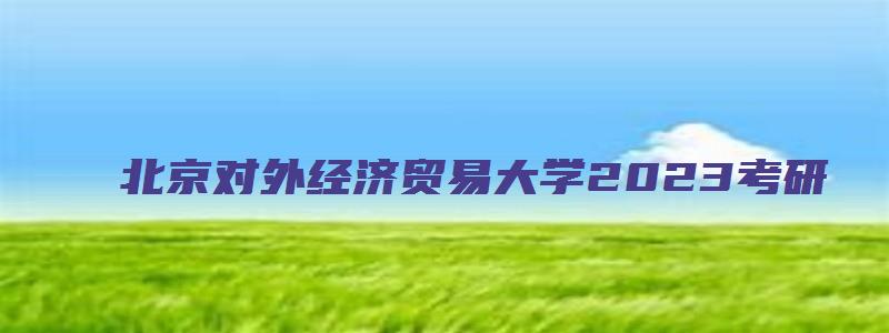 北京对外经济贸易大学2023考研