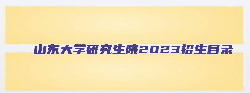 山东大学研究生院2023招生目录