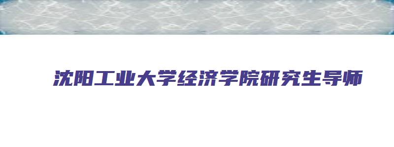 沈阳工业大学经济学院研究生导师