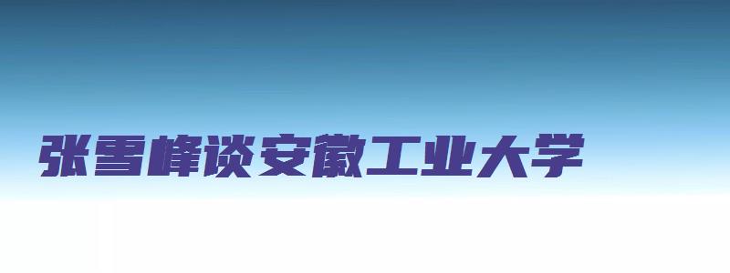 张雪峰谈安徽工业大学