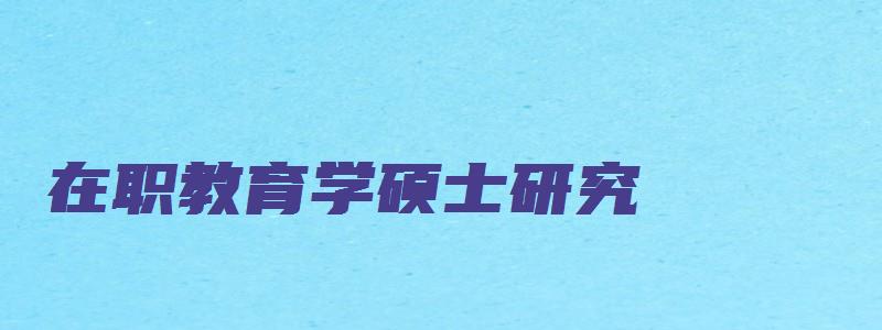 在职教育学硕士研究