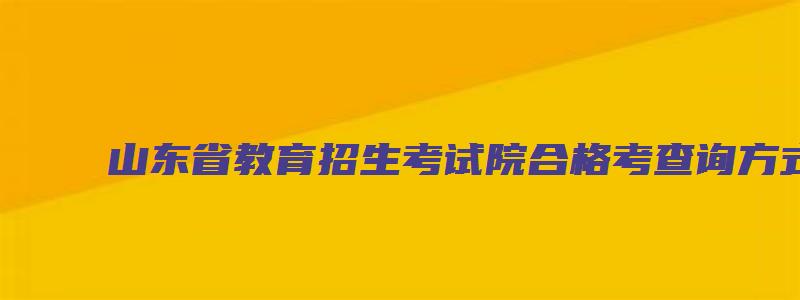 山东省教育招生考试院合格考查询方式