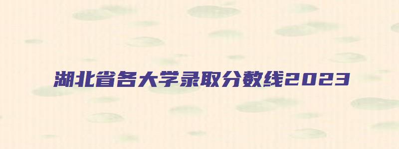 湖北省各大学录取分数线2023