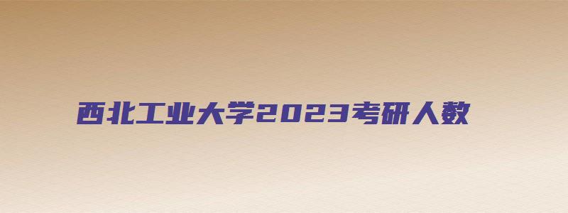 西北工业大学2023考研人数