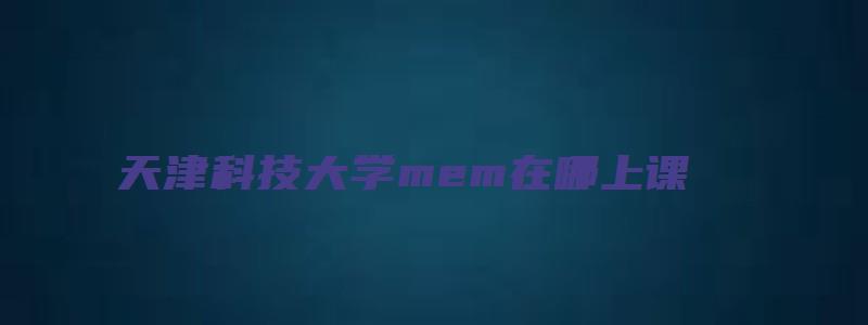 天津科技大学mem在哪上课