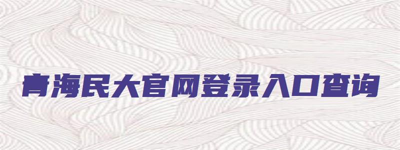 青海民大官网登录入口查询