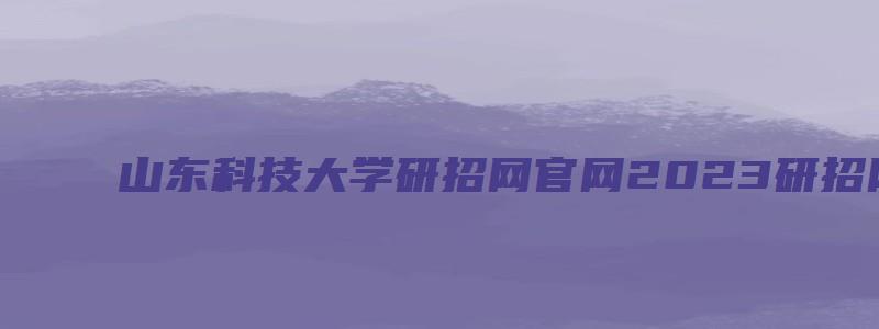 山东科技大学研招网官网2023研招网