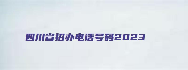 四川省招办电话号码2023