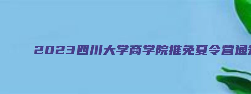 2023四川大学商学院推免夏令营通知