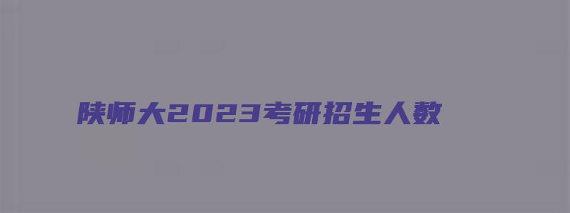 陕师大2023考研招生人数