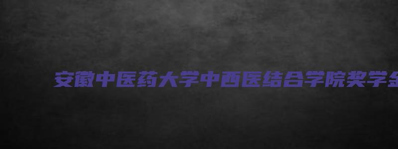 安徽中医药大学中西医结合学院奖学金