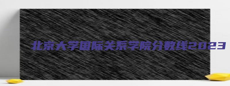 北京大学国际关系学院分数线2023