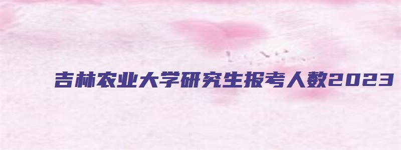 吉林农业大学研究生报考人数2023