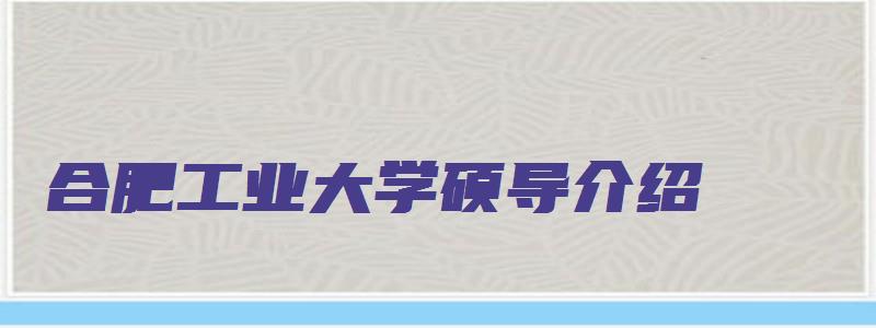 合肥工业大学硕导介绍