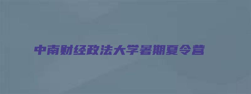 中南财经政法大学暑期夏令营