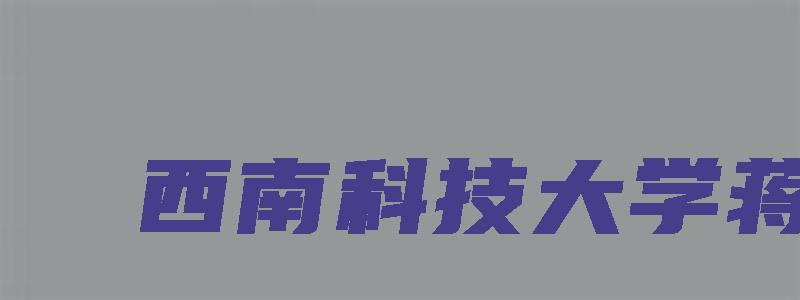 西南科技大学蒋平