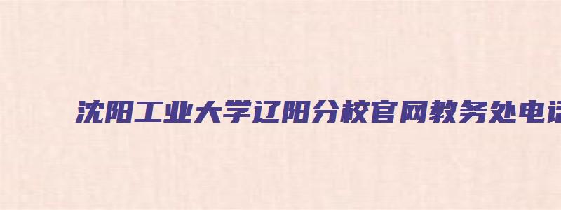 沈阳工业大学辽阳分校官网教务处电话