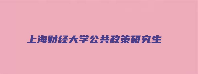 上海财经大学公共政策研究生