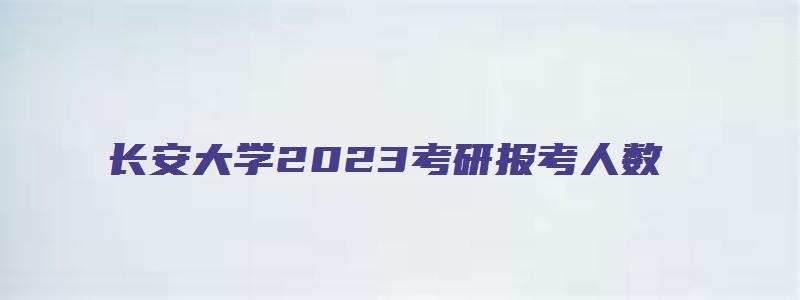 长安大学2023考研报考人数