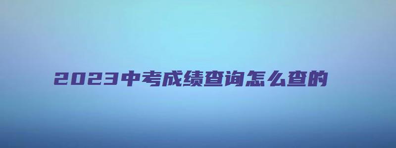 2023中考成绩查询怎么查的