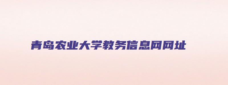 青岛农业大学教务信息网网址