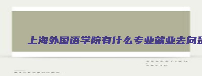 上海外国语学院有什么专业就业去向是什么单位