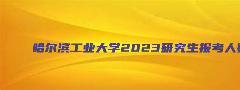 哈尔滨工业大学2023研究生报考人数