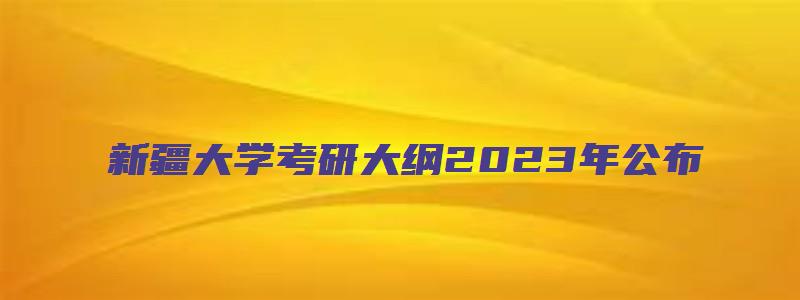 新疆大学考研大纲2023年公布