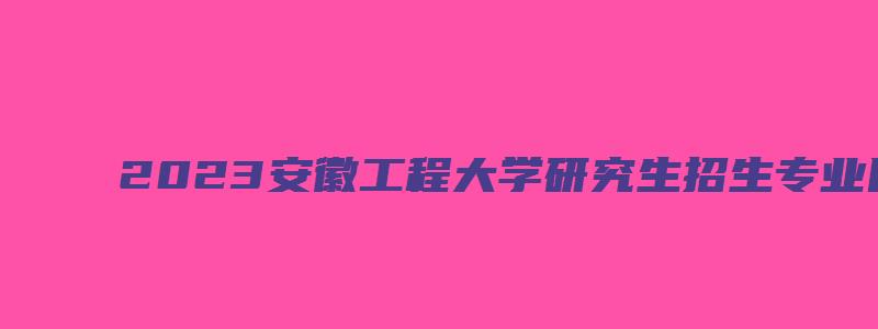 2023安徽工程大学研究生招生专业目录