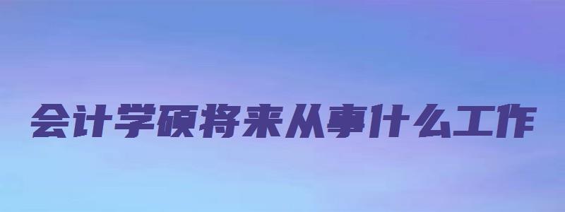 会计学硕将来从事什么工作