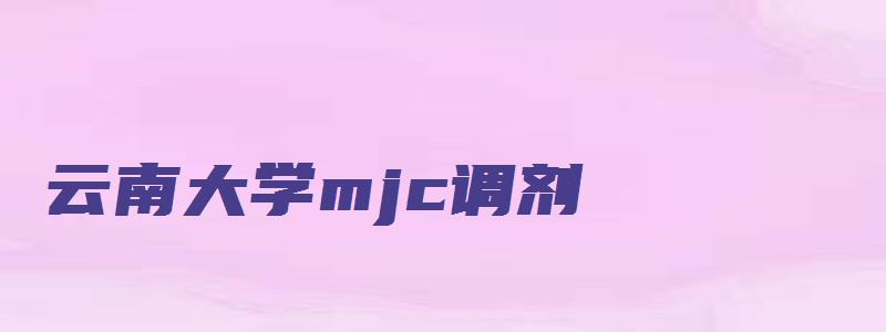 云南大学mjc调剂