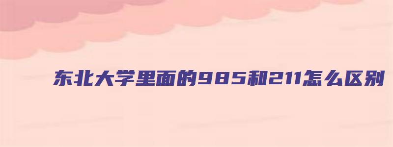 东北大学里面的985和211怎么区别