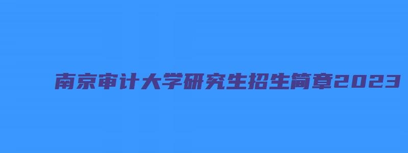 南京审计大学研究生招生简章2023