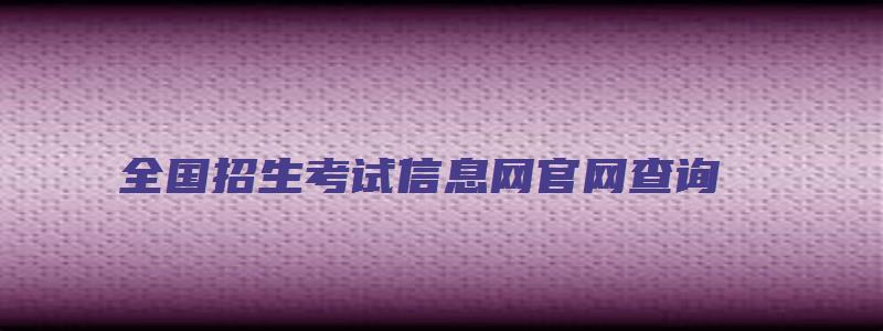 全国招生考试信息网官网查询