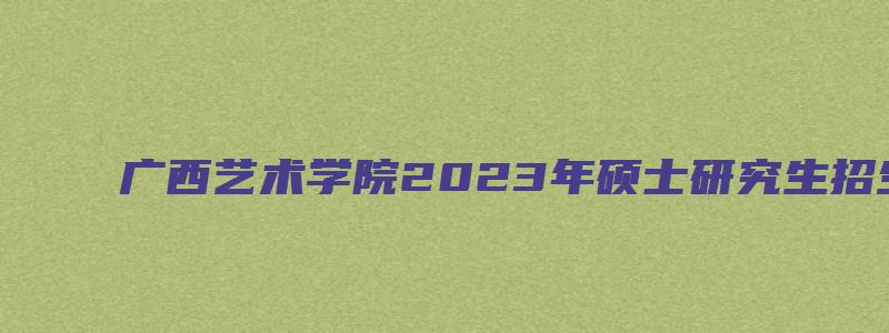 广西艺术学院2023年硕士研究生招生调剂公告