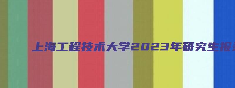 上海工程技术大学2023年研究生报录比