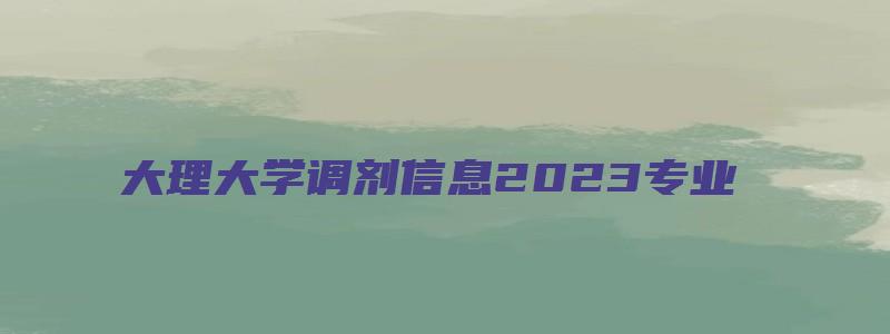 大理大学调剂信息2023专业