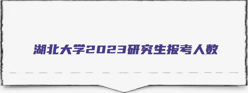 湖北大学2023研究生报考人数