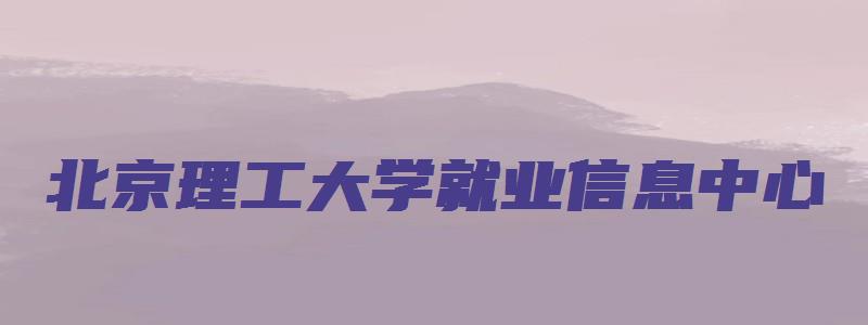 北京理工大学就业信息中心