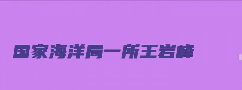 国家海洋局一所王岩峰