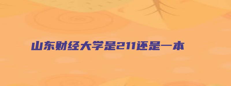 山东财经大学是211还是一本