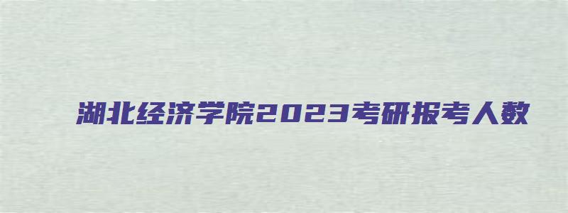 湖北经济学院2023考研报考人数