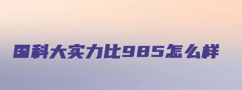 国科大实力比985怎么样