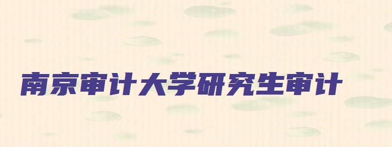 南京审计大学研究生审计