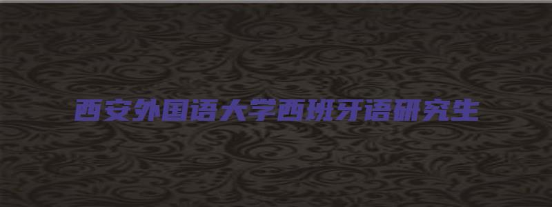 西安外国语大学西班牙语研究生